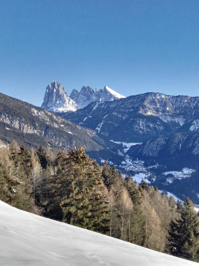 Alpine Chalet Aurora Dolomites Laion Exterior photo